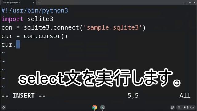 ChromebookのLinuxにSQLiteをインストールしてpythonから操作してみた