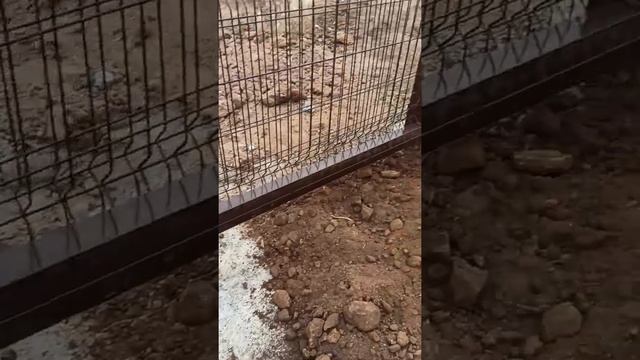 3D забор