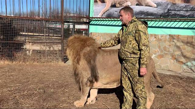 Лев Чук НЕ ХОЧЕТ СЛУШАТЬСЯ !