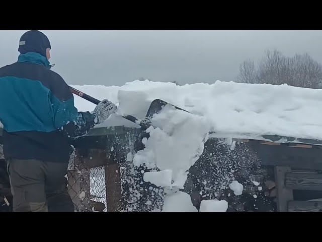 СПАСАЕМ САРАИ СТАЛО ОЧЕНЬ ОПАСНО И СТРАШНО ЗА ЖИВОТНЫХ