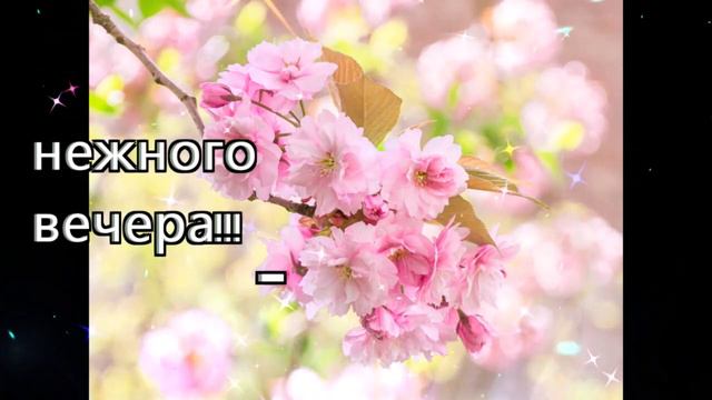 Волшебного  вечера   Ольга  Оболенская   Я  Поверю  Тебе