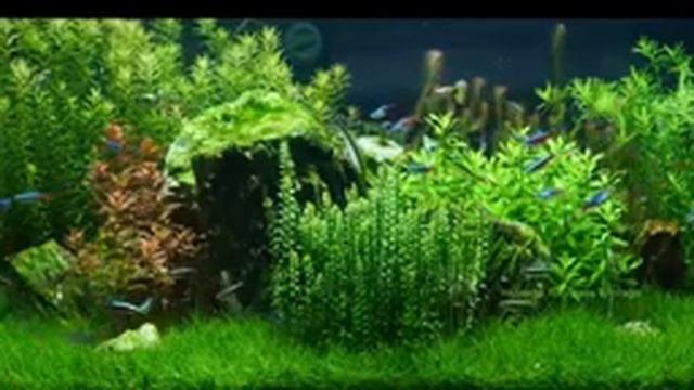 Красивая Музыка Для Сна и Отдыха без рекламы