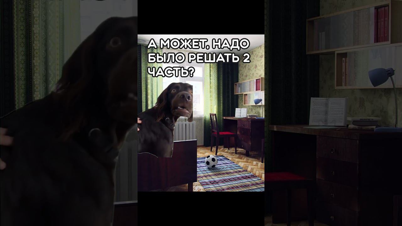ПОВ: ПОСЛЕ ЭКЗАМЕНА #котики #футаж #пов #мойдень #экзамен