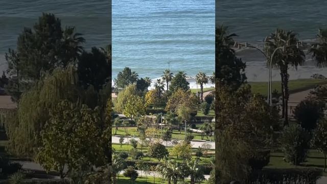 Квартиры у моря и парка Леха и Марии Качиньских от владельца , варианты от 900$ м2 #альфа #батуми #