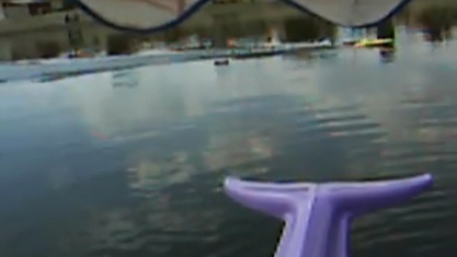 DeepVee31