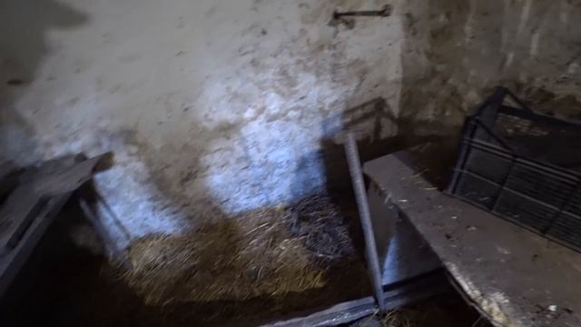 Купили старый дом в деревне, Обзор подземного погреба, Что оставили бывшие хозяева?