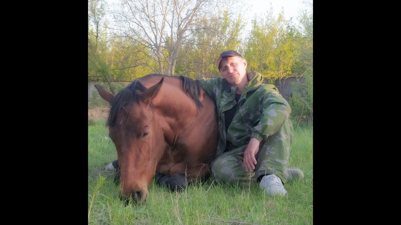 Купаем лошадь.Bathing a horse