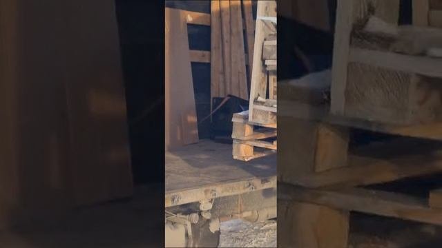 Грузим-20240207-WA0143.mp4