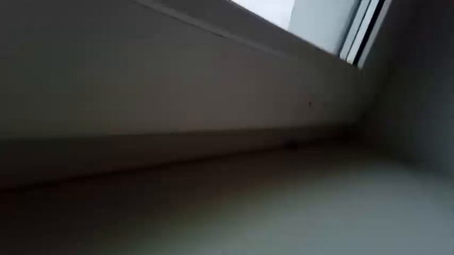 Что надо сделать с пятнадцатилетним окном чтобы оно было как ново Сколько это будет стоить заказчик