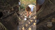 Этот лук нас очень удивил | #SemenaPartnerShorts