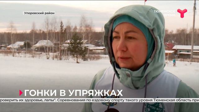 Гонки в упряжках | Тюменская область