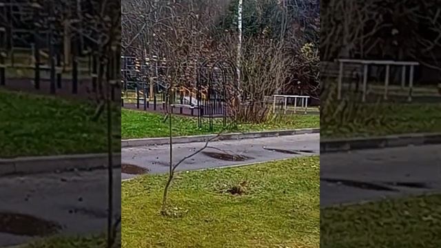 Доставка в  частный реабилитационный центр "Московская область"
