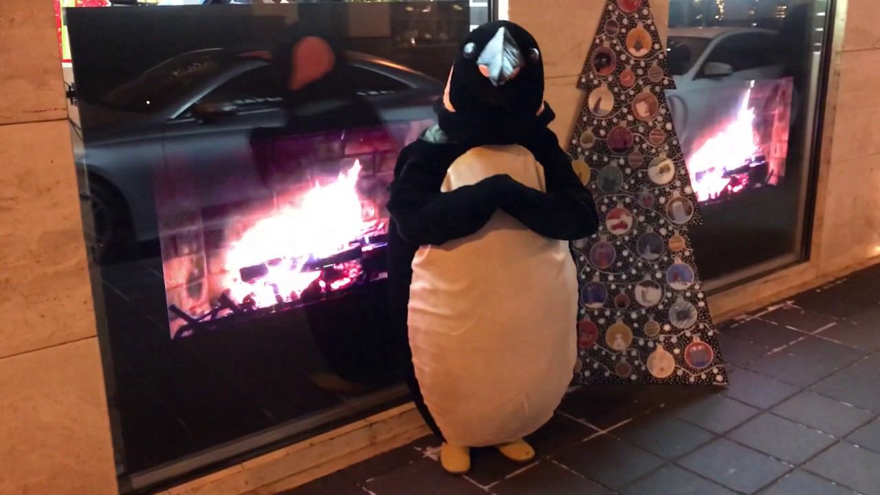 Куда идет пингвин?