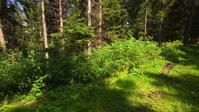 Жена и Кум занимались этим у меня за спиной | Реальные Истории Из Жизни