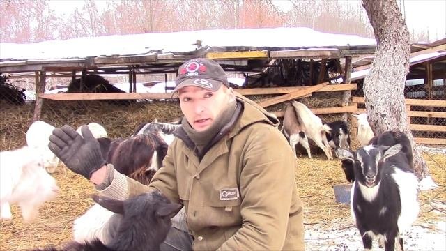Самое простое средство от грибка на ногах и гельминтов - ветпрепаратами!