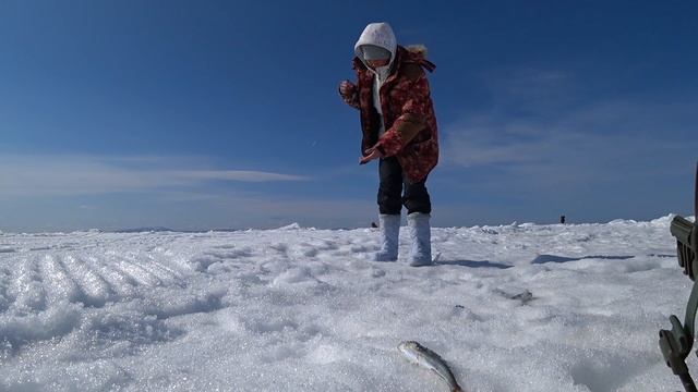 Кайф, когда клюет рыба..  Качает и ломает лед.