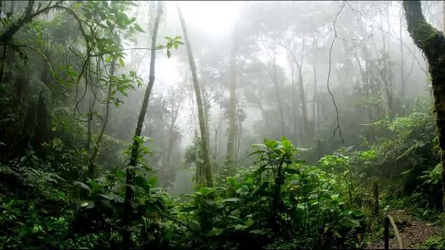classical calm music to relax the soul!классическая спокойная музыка для расслабления души