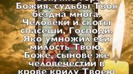 ЛЮБОЙ ЦЕНОЙ ПРОЧТИ ЭТУ МОЛИТВУ СЕРАФИМУ САРОВСКОМУ! И что пожелаешь - сбудется!