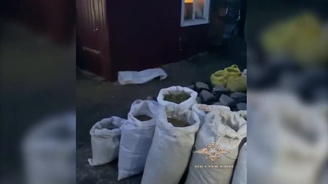 Ирина Волк: В Бурятии сотрудники транспортной полиции изъяли более 75 кг марихуаны