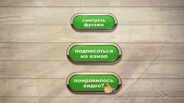 ❖Бесплатный осенний футаж-8    #осеннийфутаж