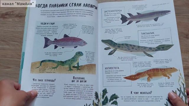 Когда киты умели ходить. Эволюция. Невероятные превращения видов/ Д. Диксон/ ил. Х. Бэйли