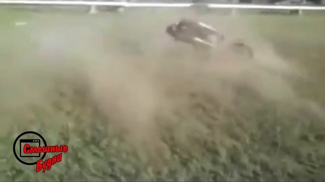 Смешные будни