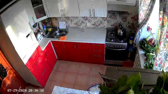 попугайчик .mp4