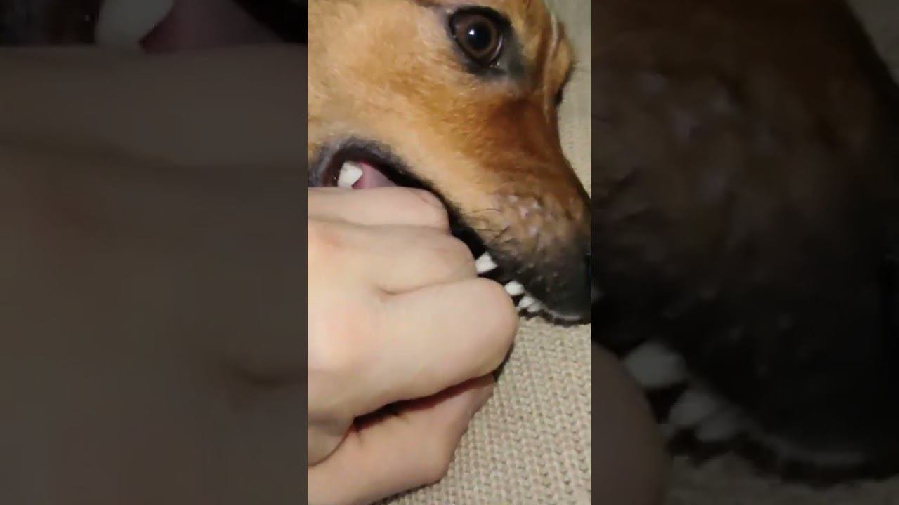 мням!!!!!
