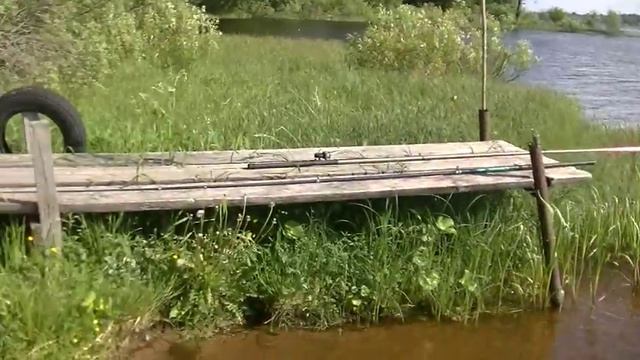 Отличный отдых коп на рыбалке или красоты Верхневолжья