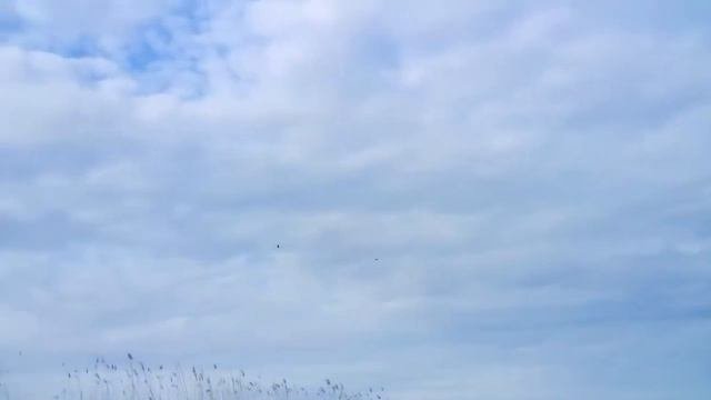 Рыбка  плавает в воде !