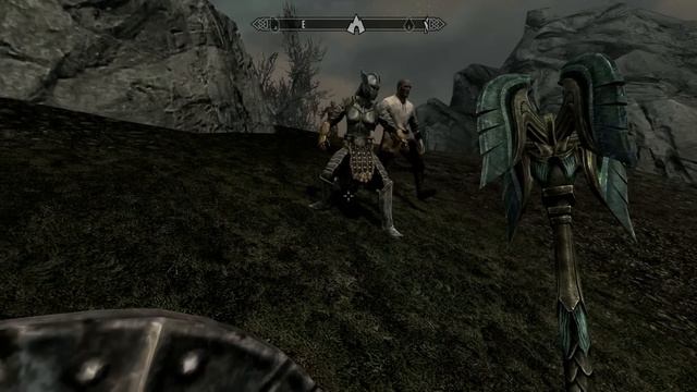 Skyrim Multiple Followers!