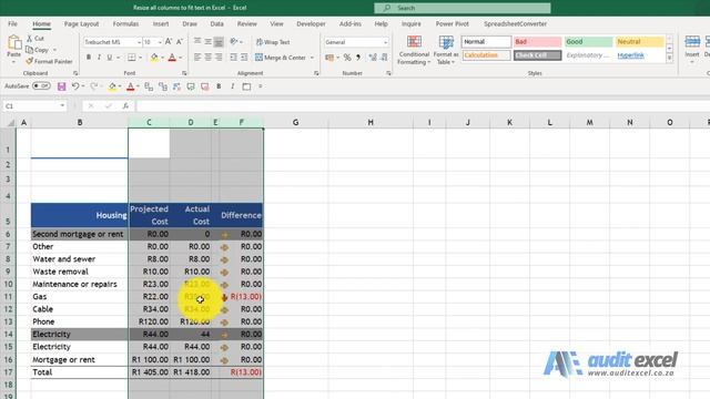 Resize columns to fit in Excel- 1 column, autofit, 2+ the same size