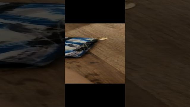 VID_20240814_002455.mp4