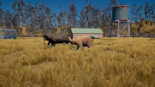 [Far Cry 5] Grizzly Grizzly Bear vs Angry Bull - Best of 3 quick battles