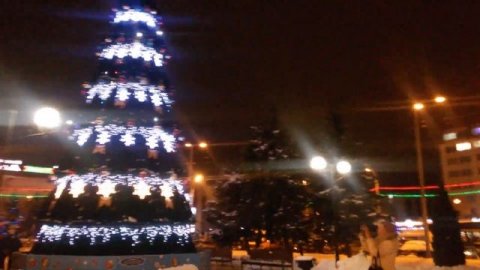 Ёлочка привокзальная