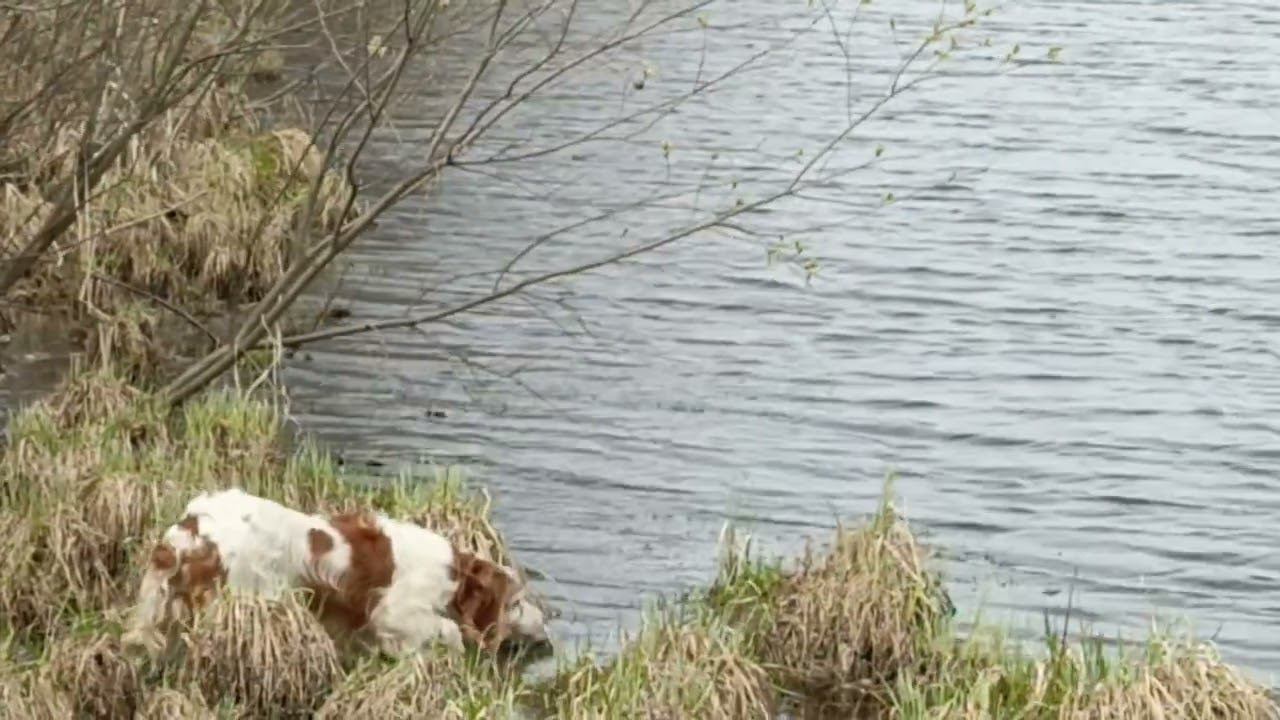 Немного будней В России всё хорошо)