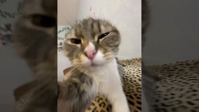 захотел