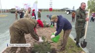 Высадили около 300 деревьев: Башкирия присоединилась к общероссийской акции "Сад памяти"