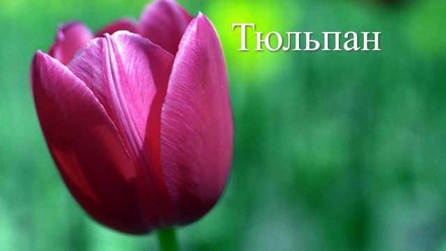 Мастер-класс "Цветы на английском" от Светланы Можейко