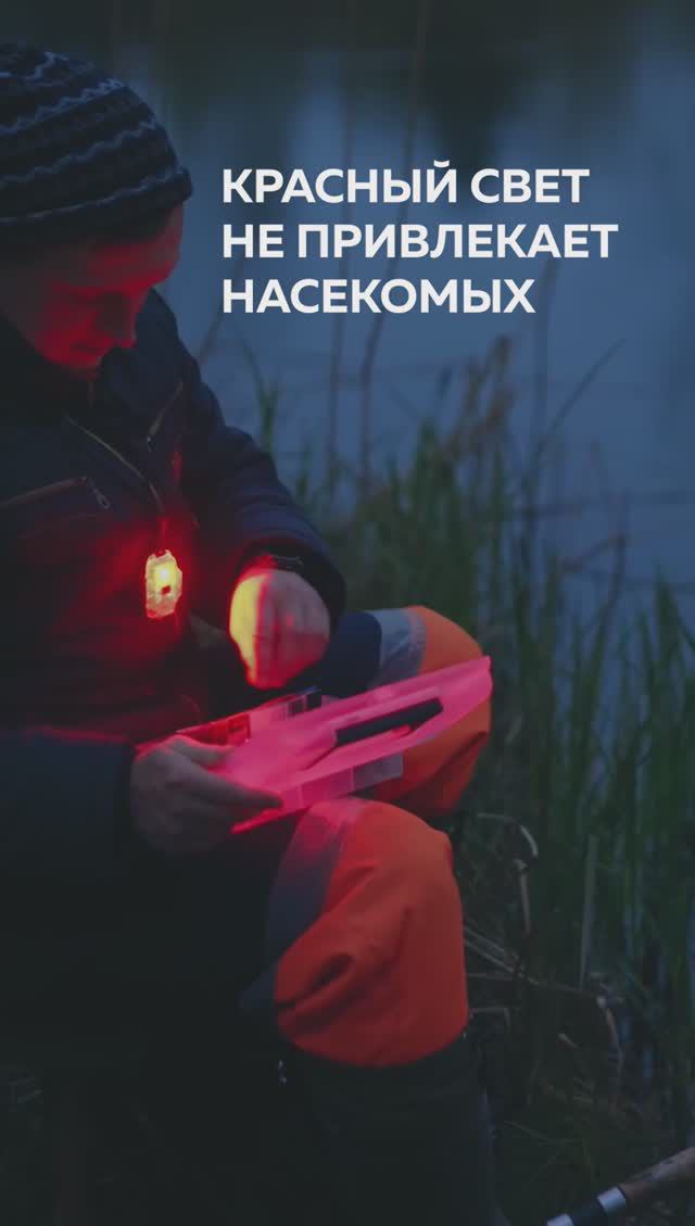 Реакция насекомых на белый и красный свет. Armytek Crystal