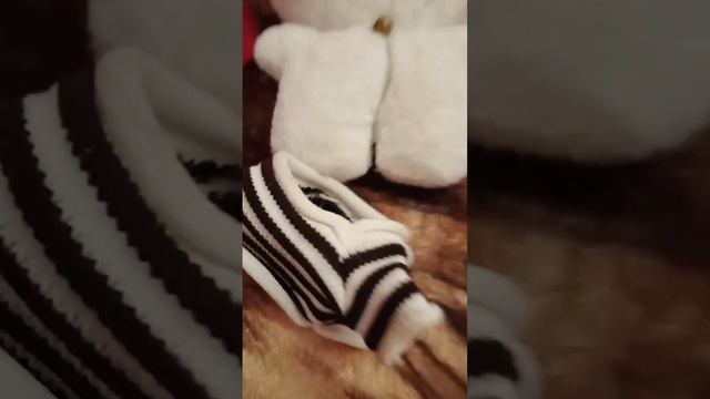 Милка идёт в первый класс!заполняем документы