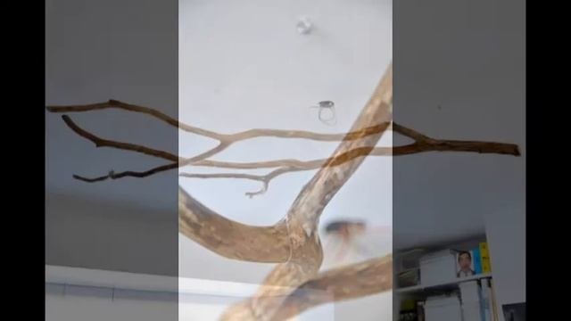 Классная люстра из тогочто было