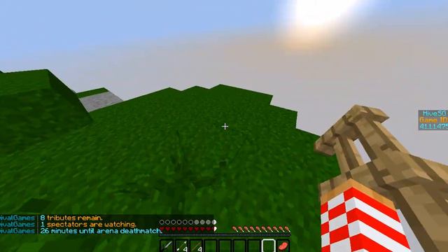 Minecraft Survival Games #1 | Немного обо всём