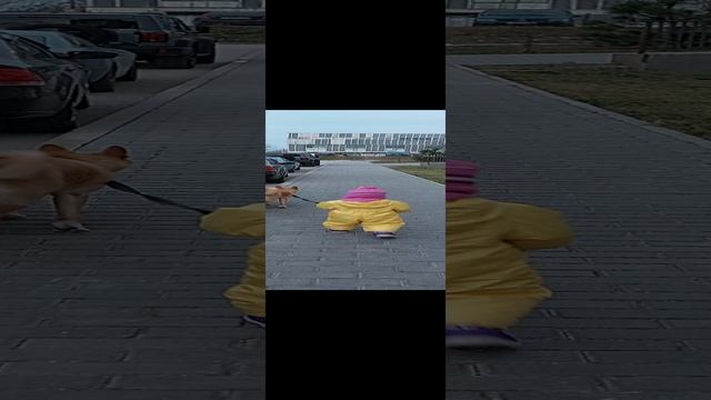 я сама