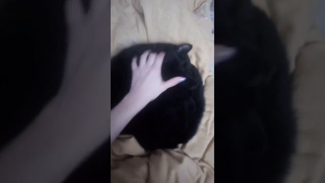 1000061193.mp4