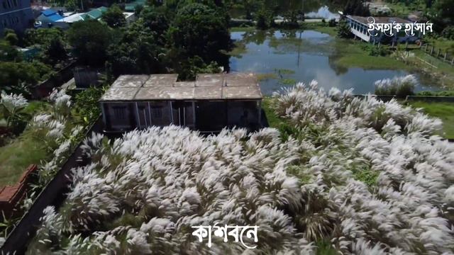 কুমিল্লার সব চেয়ে বেশি কাশফুল এই জায়গায়/Comilla Telescope 24