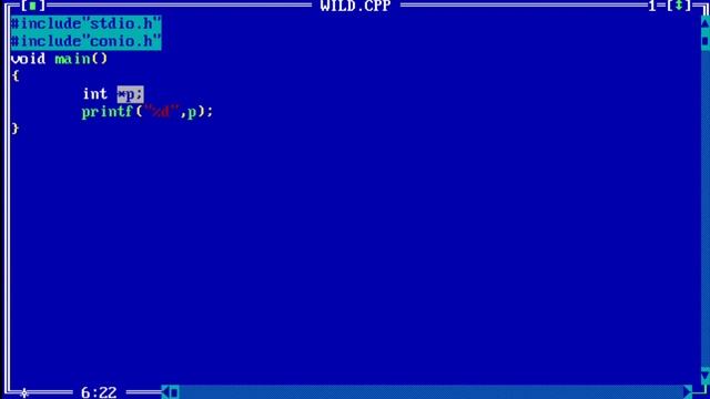 wild pointer in c with example | What is Wild Pointer? | Learn Coding