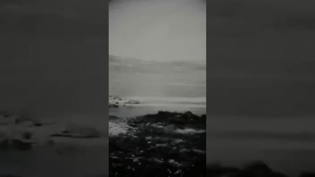 1000039853.mp4