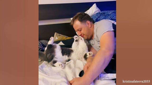 Have the love of a cat is to have the world - Cute ways cats show their love for owner