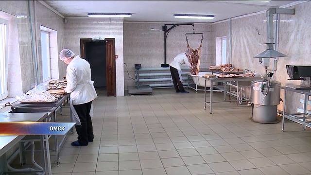 Что производят в колониях Сибири